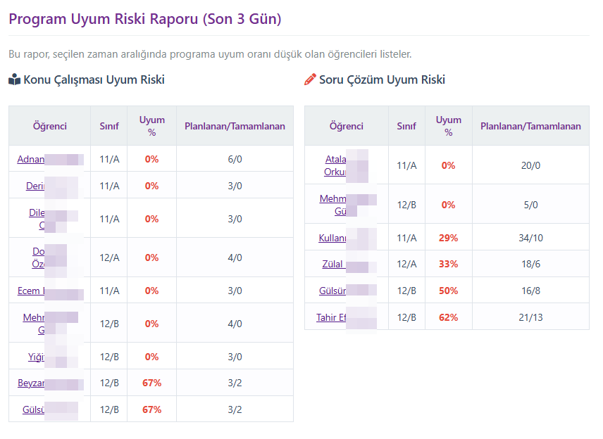 Detaylı Raporlar ve AI